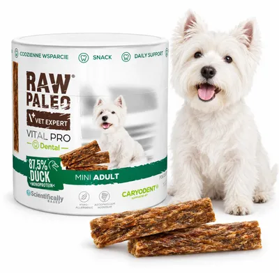 Imagen del producto de Snack para perros VetExpert Raw Paleo Vital Pro dental, para la salud de los dientes y las encías, 100 g, Imagen generada por IA