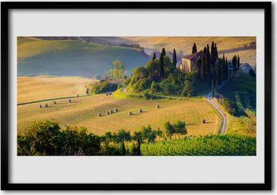 Produktbild von Bild 100x70 MDF-Rahmen Wandkunst Feld-Landschaft Bäume