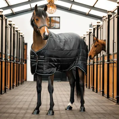 Obrázok produktu pre Dečka Horseware Stalldecke, veľkosť 125 - Easy-Layer Stable, 100 g