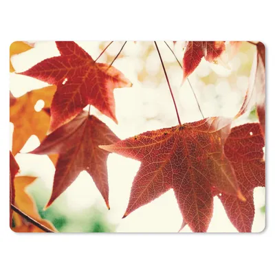Produktbild von MuchoWow® Mauspad Mousepad Herbstblätter - November - Natur - Bäume 23x19 cm - Mousepads - Maus Mat - Pad - Mausunterlage - Schreibtischunterlage - Mauspad