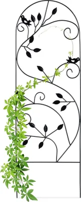 Image de Support d'escalade avec oiseau