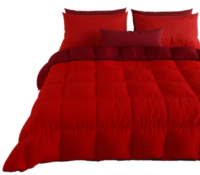 Imagen del producto de Edredón de invierno de 220x260 cm, cálido y anti-alérgico