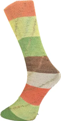 Produktbild von Ferner Lungauer Sockenwolle 4fach - 712-717 Farbe: 713