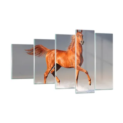Produktbild von Bilder auf glas - Tiere Pferd Galopp Geschwindigkeit - 100x60cm - Glasbilder - Wandbilder - Kunstdruck - Wanddekoration aus Glas - Glas Bilder - Wandbild auf Glas - GEG100x60-2590
