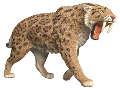 Image de Tigre à dents de sabre Schleich