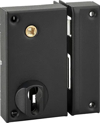 Image de Boitier serrure THIRARD Grille 75X130 Droite - 088110