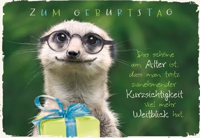 Produktbild von DeCoArt A5 Geburtstagskarte Erdmännchen Brille Geschenk mit Umschlag ca. 17 x 23 cm