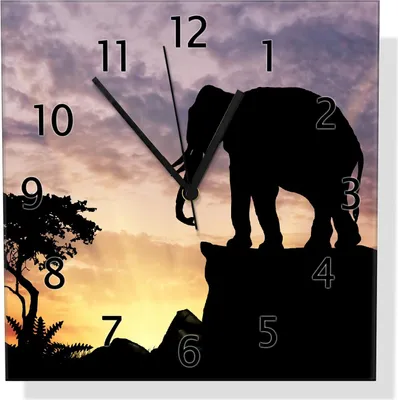 Produktbild von Wallario Design Wanduhr Elefant vor Abendhimmel aus Echtglas, Größe 30 x 30 cm