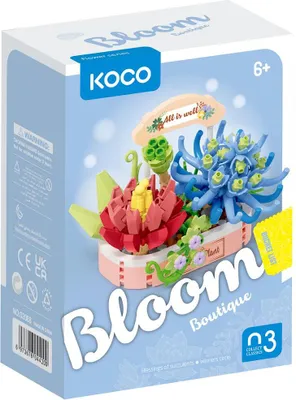 Produktbild von IM.MASTER KOCO Sukkulenten für den Himmel 271 Stück 02088 44200