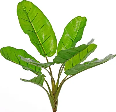 Produktbild von artplants.de Künstliche Bananenpflanze LITTY auf Steckstab, crossdoor, 55cm - Dekopalme künstlich