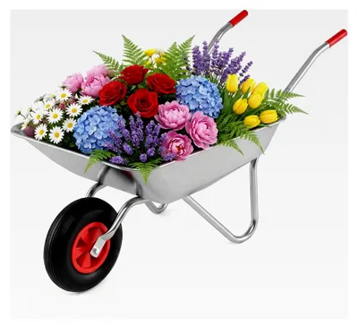 Produktbild von Schubkarre aus verzinktem Metall mit 32 cm Gummireifen, Bauschubkarre mit 2 Griffen, für bis zu 136 kg, Kippwagen für den Garten, Silber