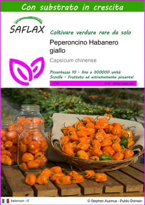 Immagine prodotto di SAFLAX  - Peperoncino Habanero giallo - 10 semi - Con substrato - Capsicum