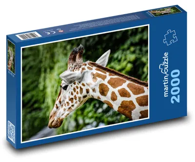 Zdjęcie produktu dla Puzzle 2000 Żyrafa w Afrykańskim Zoo - martinpuzzle