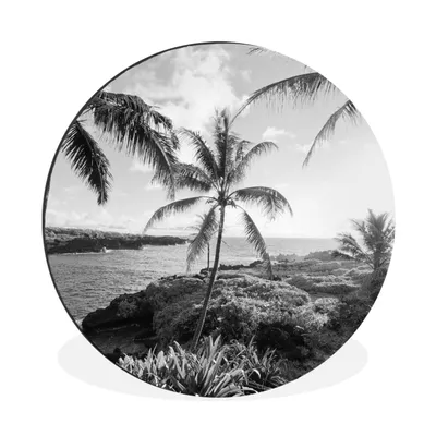 Produktbild von MuchoWow® Aluminium Wandkreis Hawaii - Landschaft - Schwarz - Weiß Ø 90 cm Wanddeko Modern Wohnzimmer - Mauerkreis - Wandbilder - Runde Bild - Bild aus Aluminium - Schlafzimmer - Wohnzimmerdekoration - Wand Dekoration