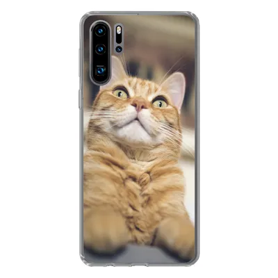 Produktbild von MuchoWow® Handyhülle Schutzhülle Hülle für Huawei P30 Pro Katze - Bank - Orange Silikon Softcase Handy Hülle - Schutzdeckel