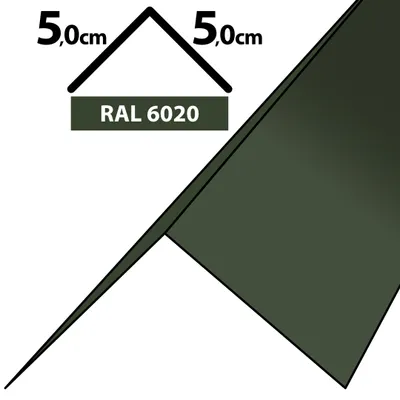 Produktbild von 2m Winkelblech Kantblech Kante Blechwinkel pulverbeschichtetes 0,5mm Zuschnitt 10cm RAL-6020 Chromooxidgrün