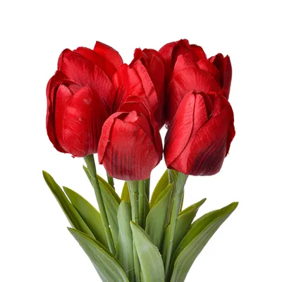 Image de Clayre & Eef Fleur artificielle Tulipe 32 cm Rouge Plastique