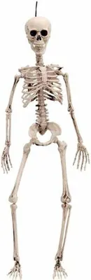 Image de Halloween-Dekoration My Other Me 49 cm Skelett