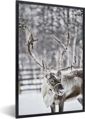 Produktbild von MuchoWow® Gerahmtes Poster Ein Rentier in einem Feld mit Schnee 60x90 cm - Poster mit Schwarzem Bilderrahmen Wandposter Rahmen Foto Bilder - Kunst