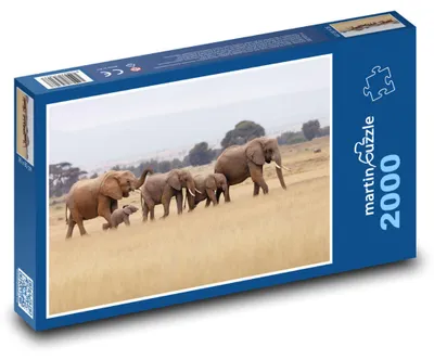 Produktbild von martinpuzzle - Puzzle 2000 Teile - Safari - Elefanten