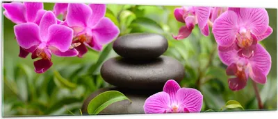 Produktbild von Bilder auf glas - Blumen Steine Bambus Dekoration - 140x50cm - Glasbilder - Wandbilder - Kunstdruck - zum Aufhängen bereit - Wanddekoration aus Glas - Glas Bilder - Wandbild auf Glas - GAB140x50-2687
