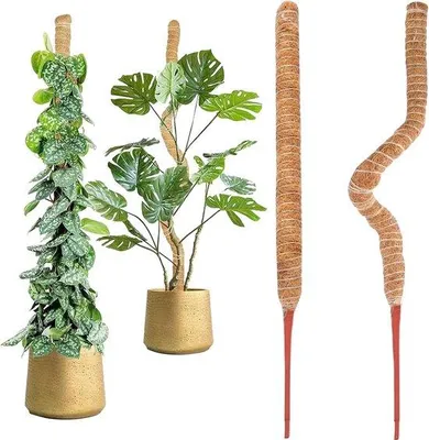 Productafbeelding van Famanu plantensteun voor klimplanten - Flexibele ondersteuning voor klimplanten - 2 stuks - 60 cm