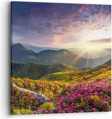 Produktbild von Bild auf Leinwand - Leinwandbild - Gebirge Wiese Landschaft Wald - 40x40cm - Wand Bild - Wanddeko - Leinwanddruck - Bilder - Kunstdruck - Wanddekoration - Leinwand bilder - Wandkunst - AC40x40-3152