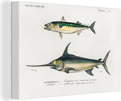 Produktbild von OneMillionCanvasses® - Leinwandbilder - 140x90 cm, Fisch - Vintage - Farbe, Wandbilder Kunstdruck Wanddekoration