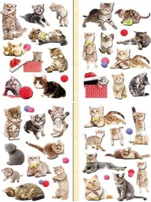 Produktbild von 3D-Aufkleber Katzen Mix (Schul- und Schrein)