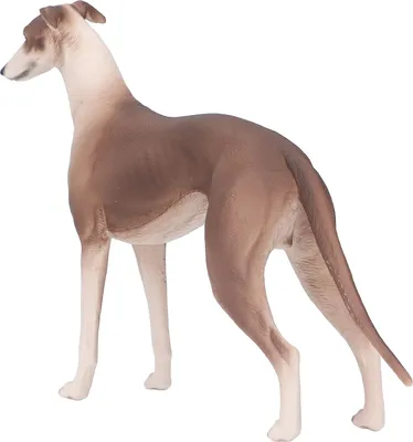 Zdjęcie produktu dla Realistic Greyhound Figure Pet Science Education Cognition Puppy Dog Model for 3 Above Years Old