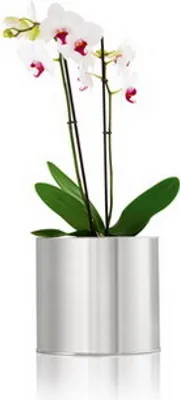 Produktbild von 1x BLOMUS Blumentopf "Greens" 23 cm Umtopf, Übertopf