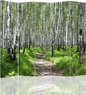 Produktbild von Paravent - Raumteiler Forest Walk - Dekorativer Raumtrenner cm. 180x170 (5 x)