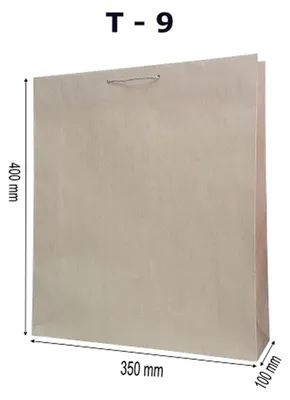 Immagine prodotto di Sacchetti regalo Eco T9, confezione da 10 pezzi - MER PLUS