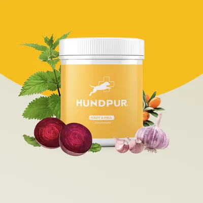 Produktbild von Hundpur® Haut und Fell