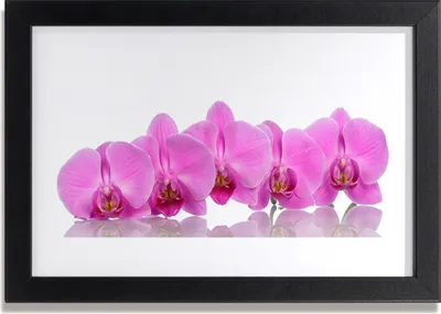 Produktbild von Bild 30x20 MDF-Rahmen Wandkunst Rosa Orchideen-Blumen