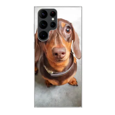 Produktbild von MuchoWow® Handyhülle Schutzhülle Hülle für Samsung Galaxy S22 Ultra Nahaufnahme des Kopfes eines Dackels Silikon Softcase Handy Hülle - Abbildung