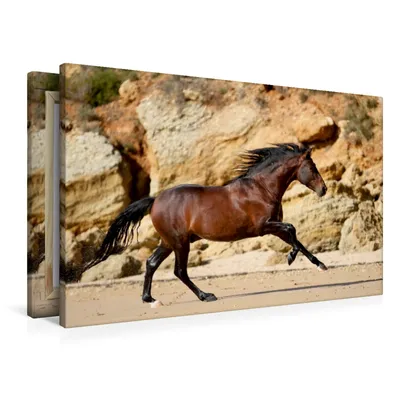 Produktbild von Calvendo Textil-Leinwand 90 cm x 60 cm quer Ein Motiv aus dem Kalender Caballos Spanische Pferde 2017, Eckerl Tierfotografie Petra; 7330931