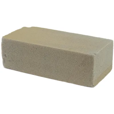 Immagine prodotto di Talee di EUROPALMS, 23x11x7,5 cm
