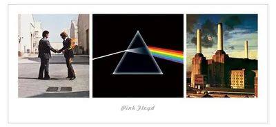 Obrázek produktu pro PINK FLOYD – Coververze – Umělecký tisk – 22,7 x 50 cm – Plakát