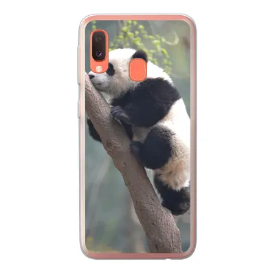 Produktbild von MuchoWow® Handyhülle Schutzhülle Hülle für Samsung Galaxy A20e Panda - Tier - Baum Silikon Softcase Handy Hülle - Abdeckung