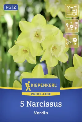 Produktbild von Kiepenkerl Profi-Line Narzisse Verdin Narcissus hybrids 5 Zwiebeln