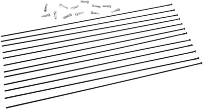 Immagine prodotto di Raggio di ricambio Mavic posteriore destro 294 mm