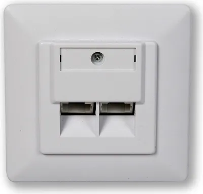 Immagine prodotto di WO-332 smart C5E 2P - dotato di 2 porte, in confezione