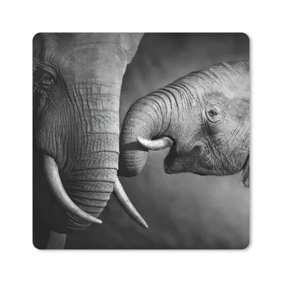 Produktbild von MuchoWow® Mauspad Mousepad Wildtiere - Elefant - Schwarz - Weiß - Porträt 30x30 cm - Mousepads - Maus Mat - Pad - Mausunterlage - Gaming