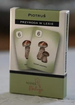 Produktbild von Karty do gry Piotruś Przyroda w lesie