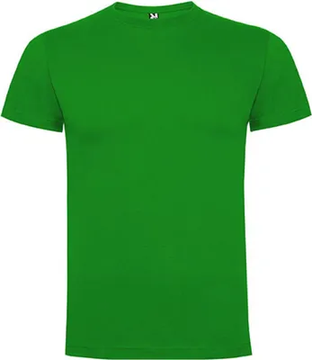 Produktbild von Roly CA6502 | Herren Dogo Premium T-Shirt, Single-Jersey - Farbe: Grass Green 83 - Größe: L