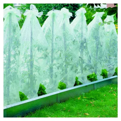 Produktbild von Xclou Garten Tomatenvlies, Transparent, ca. 0,8 x 5 m