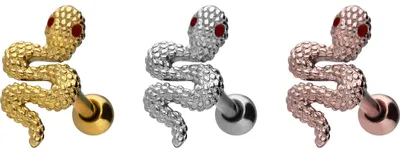 Produktbild von Ohrpiercing Chirurgenstahl Ohrpiercing SCHLANGE