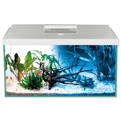 Image de Aquarium set LEDDY Day & Night 40 pcs 25 l