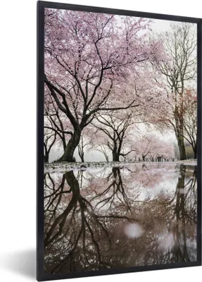 Produktbild von MuchoWow® MuchoWow® Gerahmtes Poster Sakura - Blüte - Baum - Japan 60x90 cm - Poster mit zchwarzem Bilderrahmen - Kunst